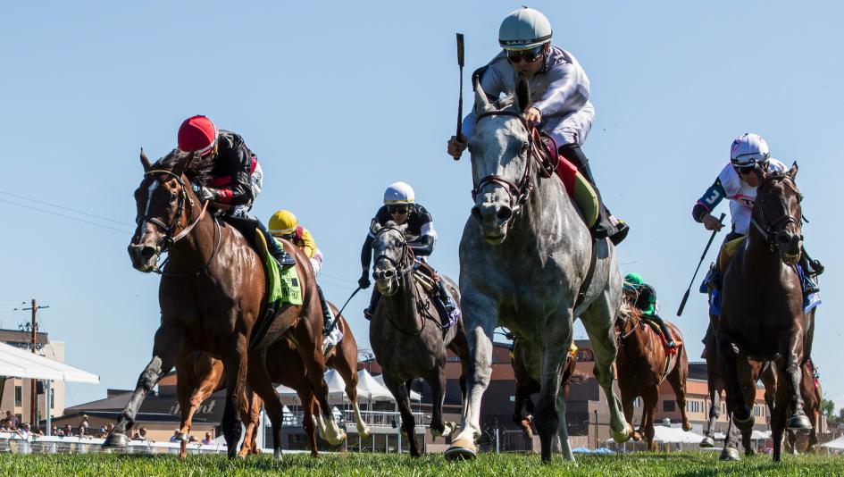 Ag Bullet, Ladies Turf Sprint Stakes, Kentucky Downs, Equibase Leaderboard, America's Best Racing, horse racing, ABR